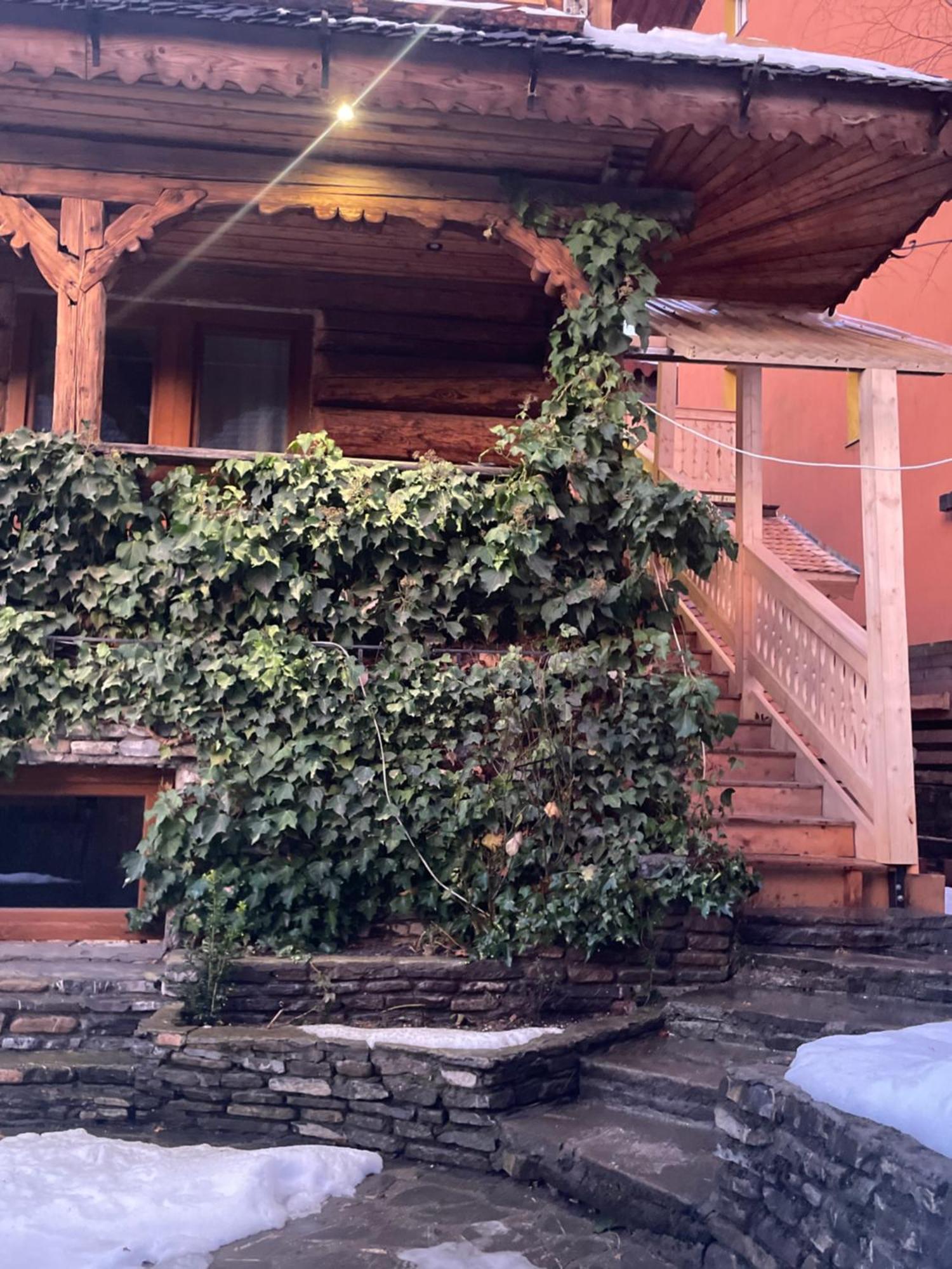 Camera Cedru - Catun Sinaia Exterior photo